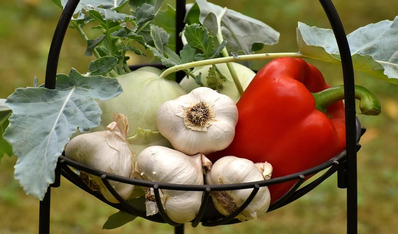 Vertical Farming
